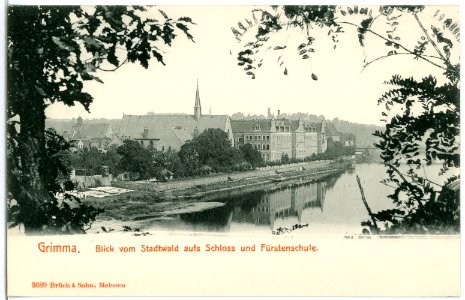 03689-Grimma-1903-Blick vom Stadtwald aufs Schloß und Fürstenschule-Brück & Sohn Kunstverlag