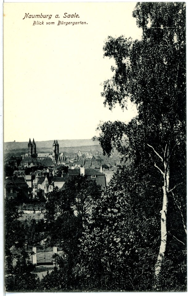 03516-Naumburg-1903-Blick vom Bürgergarten-Brück & Sohn Kunstverlag