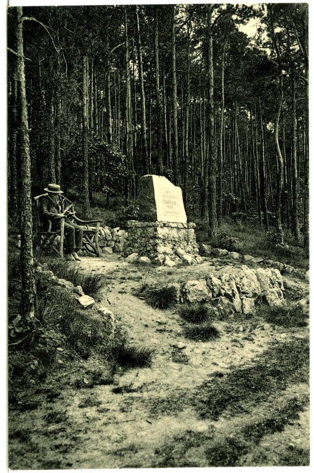 04689-Diesbar-1903-Fabian - Denkmal im Golkwald-Brück & Sohn Kunstverlag