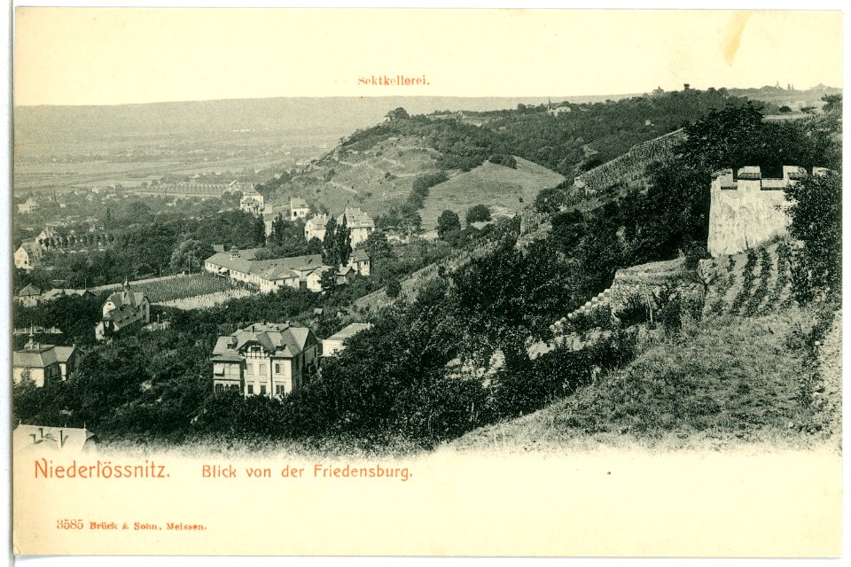 03585-Niederlößnitz-1903-Blick von der Friedensburg-Brück & Sohn Kunstverlag