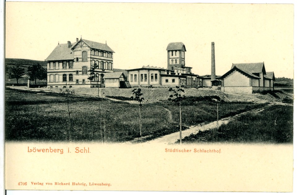 04706-Löwenberg-1903-Städtischer Schlachthof-Brück & Sohn Kunstverlag