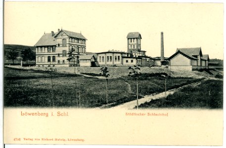 04706-Löwenberg-1903-Städtischer Schlachthof-Brück & Sohn Kunstverlag