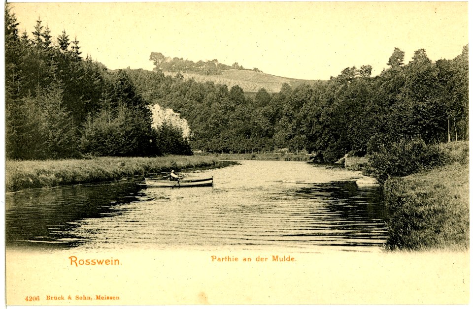 04206-Roßwein-1903-Mulde mit Ruderkahn-Brück & Sohn Kunstverlag
