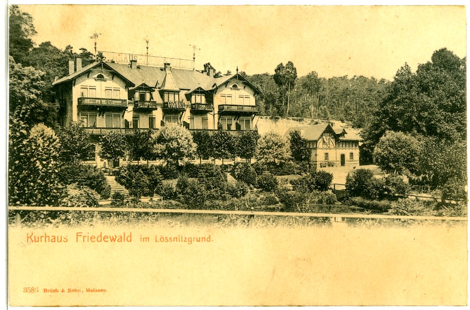 03586-Friedewald-1903-Kurhaus Friedewald-Brück & Sohn Kunstverlag