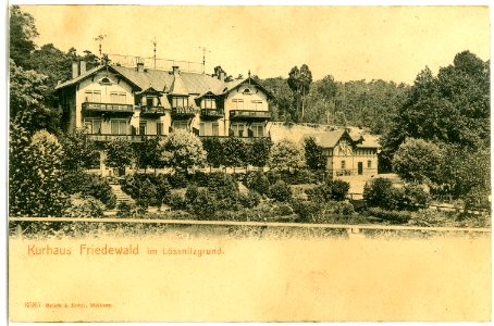03586-Friedewald-1903-Kurhaus Friedewald-Brück & Sohn Kunstverlag