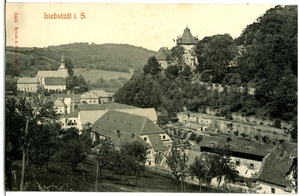 03445-Liebstadt-1903-Stadtansicht-Brück & Sohn Kunstverlag