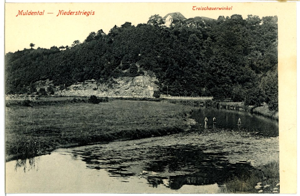 04420-Niederstriegis-1903-Muldental mit Troischauerwinkel-Brück & Sohn Kunstverlag