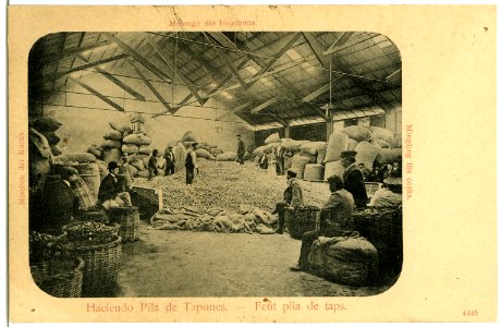 04445--1903-Haciendo Pila de Tapones, Mischen der Korke-Brück & Sohn Kunstverlag