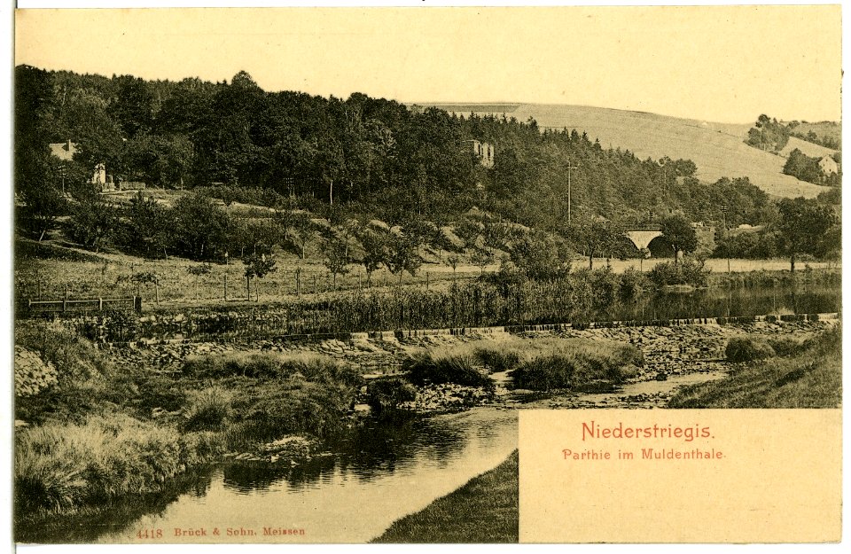 04418-Niederstriegis-1903-im Muldental-Brück & Sohn Kunstverlag