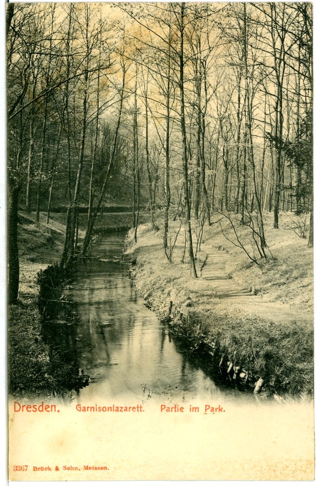 03367-Dresden-1903-Im Park des Garnisonslazarettes-Brück & Sohn Kunstverlag