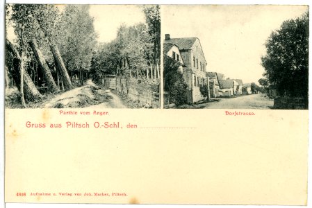 04636-Piltsch-1903-Dorfstraße - Anger-Brück & Sohn Kunstverlag