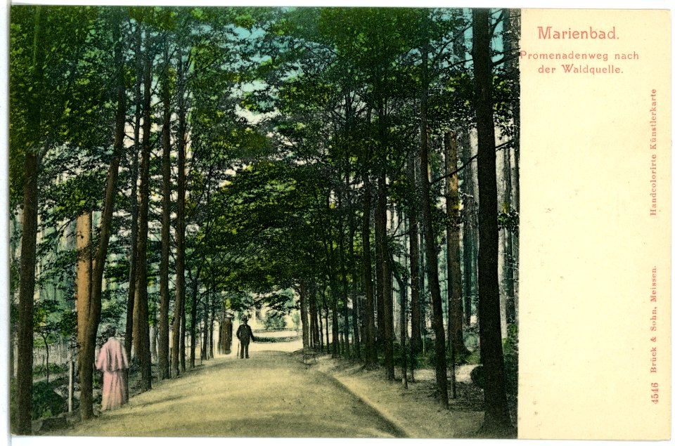 04546-Marienbad-1903-Promenadenweg nach der Waldquelle-Brück & Sohn Kunstverlag