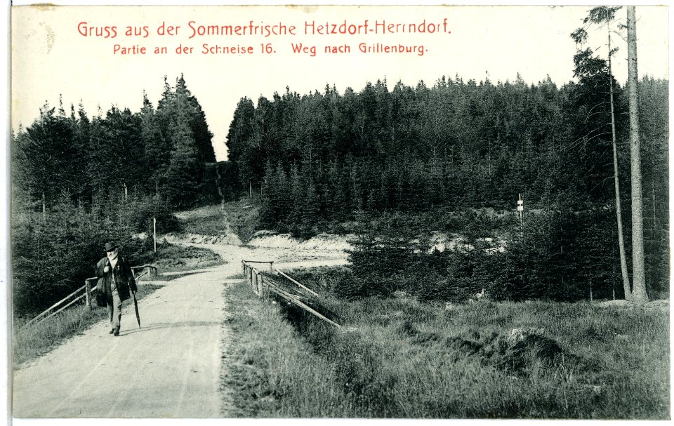 03559-Herrndorf-Hetzdorf-1903-Wanderung Schneise 16-Brück & Sohn Kunstverlag
