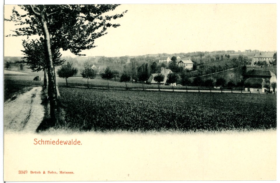 03349-Schmiedewalde-1903-Blick zum Dorf-Brück & Sohn Kunstverlag