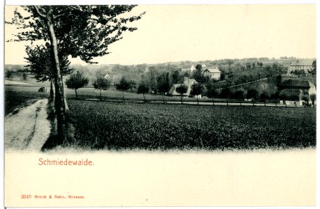 03349-Schmiedewalde-1903-Blick zum Dorf-Brück & Sohn Kunstverlag