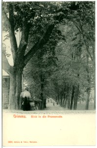 03691-Grimma-1903-Blick in Promenade-Brück & Sohn Kunstverlag