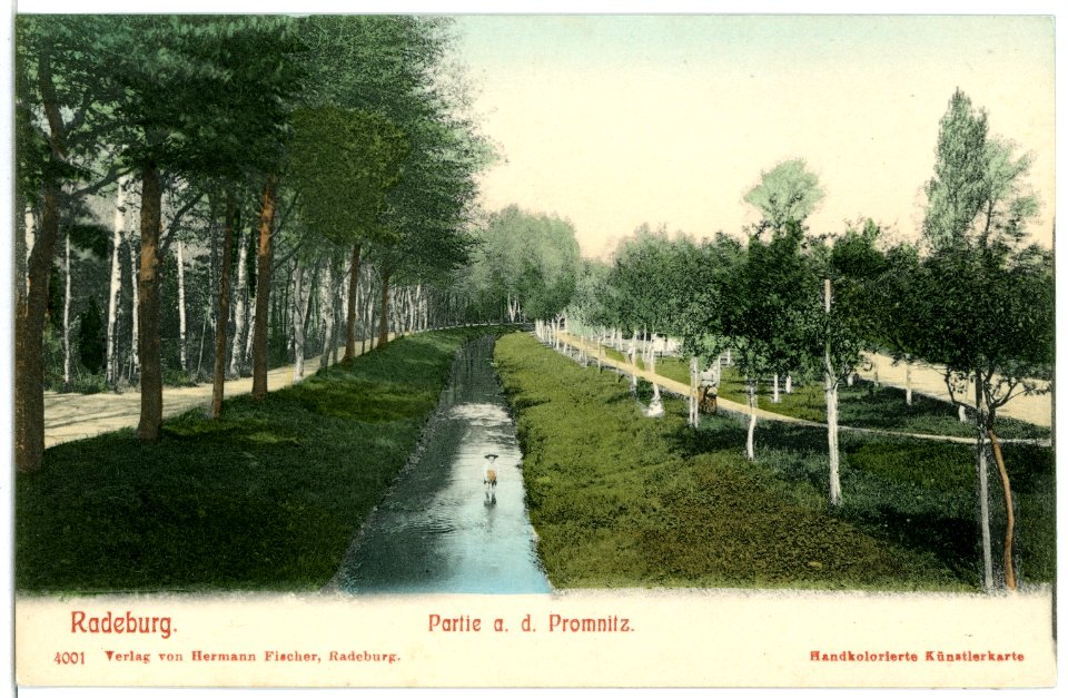 04001-Radeburg-1903-an der Promnitz-Brück & Sohn Kunstverlag