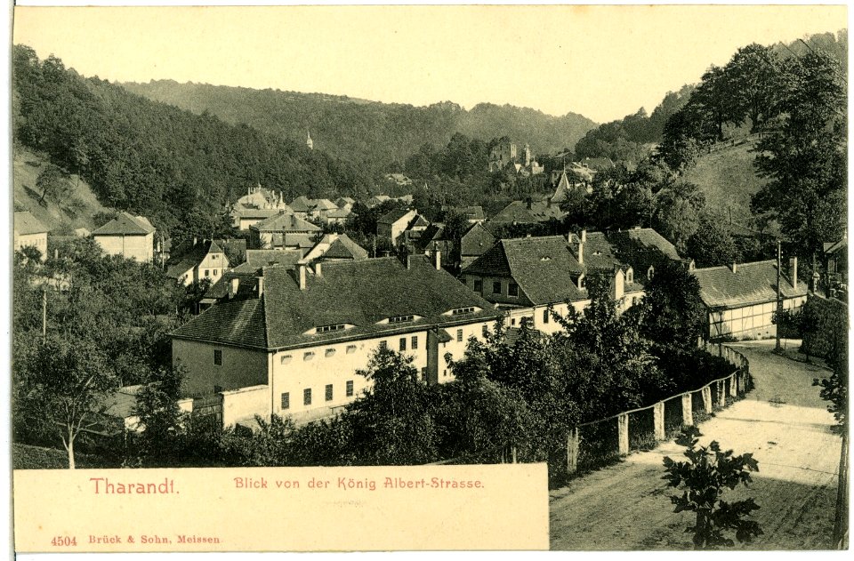 04504-Tharandt-1903-Blick von der König-Albert-Straße auf Tharandt-Brück & Sohn Kunstverlag