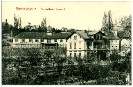 04046-Niederlößnitz-1903-Sektkellerei Bussard-Brück & Sohn Kunstverlag