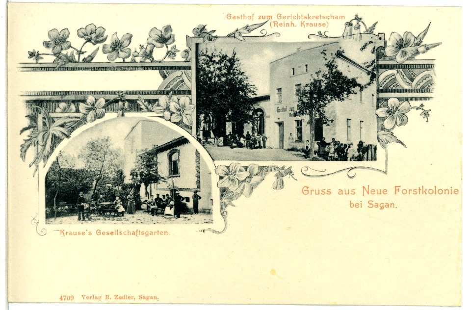 04709-Sagan-1903-Neue Forstkolonie-Brück & Sohn Kunstverlag