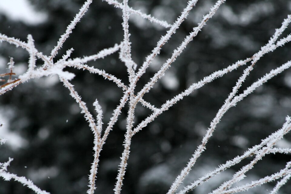 Snow nature outdoors