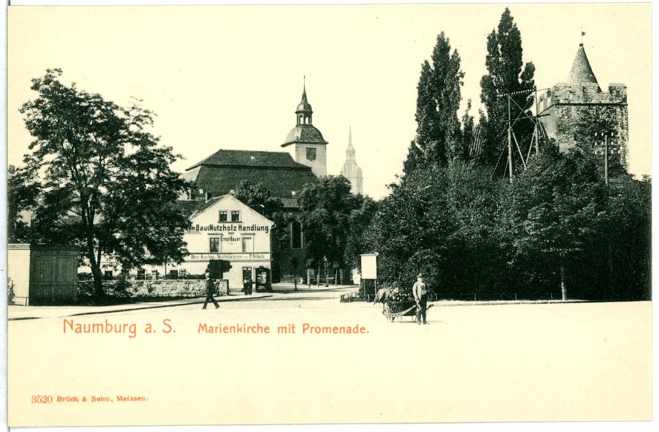 03520-Naumburg-1903-Marienkirche mit Promenade-Brück & Sohn Kunstverlag