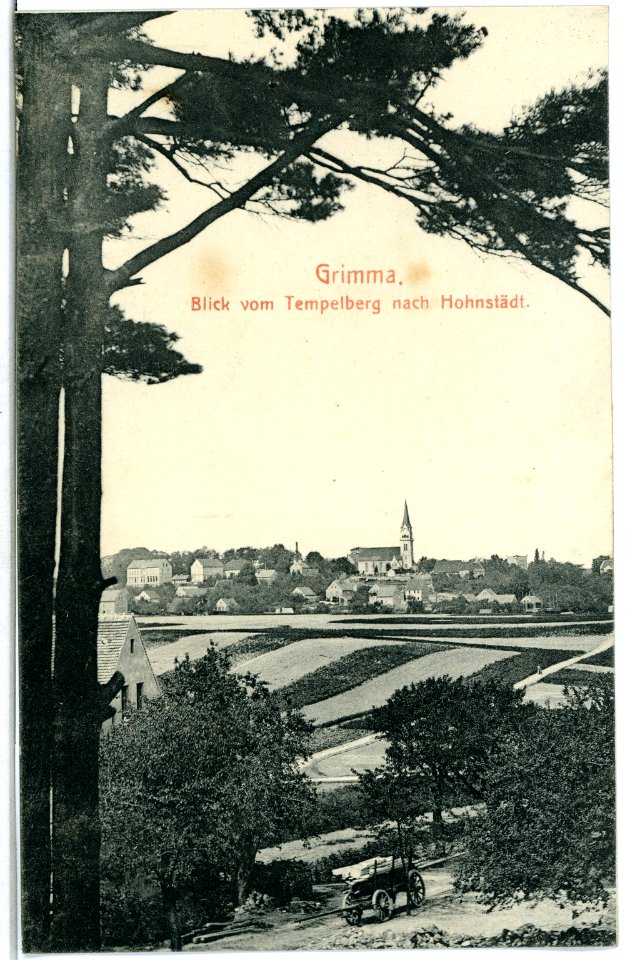 03688-Grimma-1903-Blick vom Tempelberg nach Hohnstädt-Brück & Sohn Kunstverlag