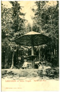 03263-Lauenstein-1903-Partie mit Pilz-Brück & Sohn Kunstverlag
