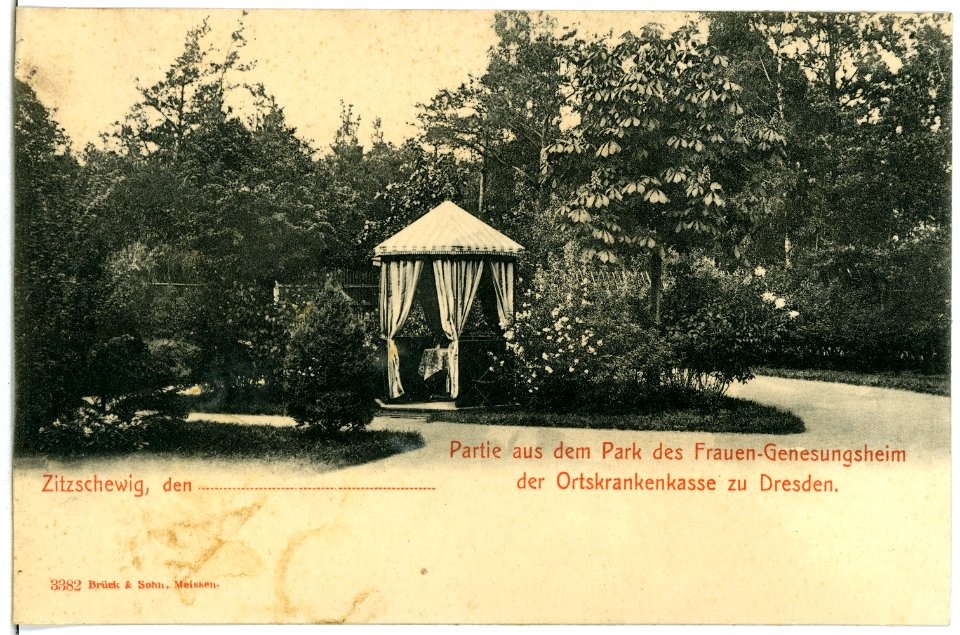 03382-Zitzschewig-1903-Frauen-Genesungsheim Alt-Wettin Park-Brück & Sohn Kunstverlag