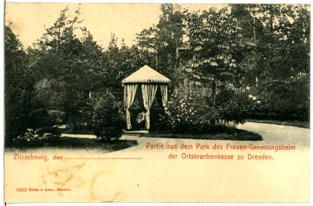 03382-Zitzschewig-1903-Frauen-Genesungsheim Alt-Wettin Park-Brück & Sohn Kunstverlag