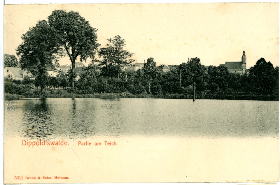 03211-Dippoldiswalde-1903-Blick über den Teich zur Kirche-Brück & Sohn Kunstverlag