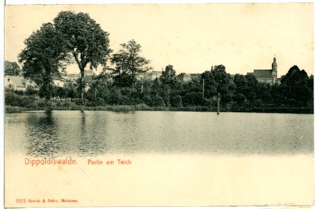 03211-Dippoldiswalde-1903-Blick über den Teich zur Kirche-Brück & Sohn Kunstverlag
