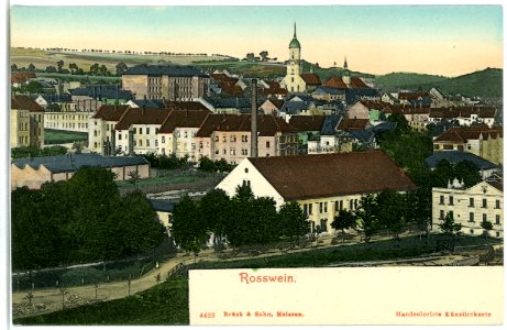 04423-Roßwein-1903-Stadtansicht-Brück & Sohn Kunstverlag
