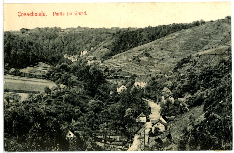 03417-Cossebaude-1903-Im Grund-Brück & Sohn Kunstverlag