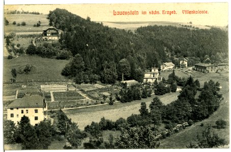 03258-Lauenstein-1903-Villenkolonie-Brück & Sohn Kunstverlag