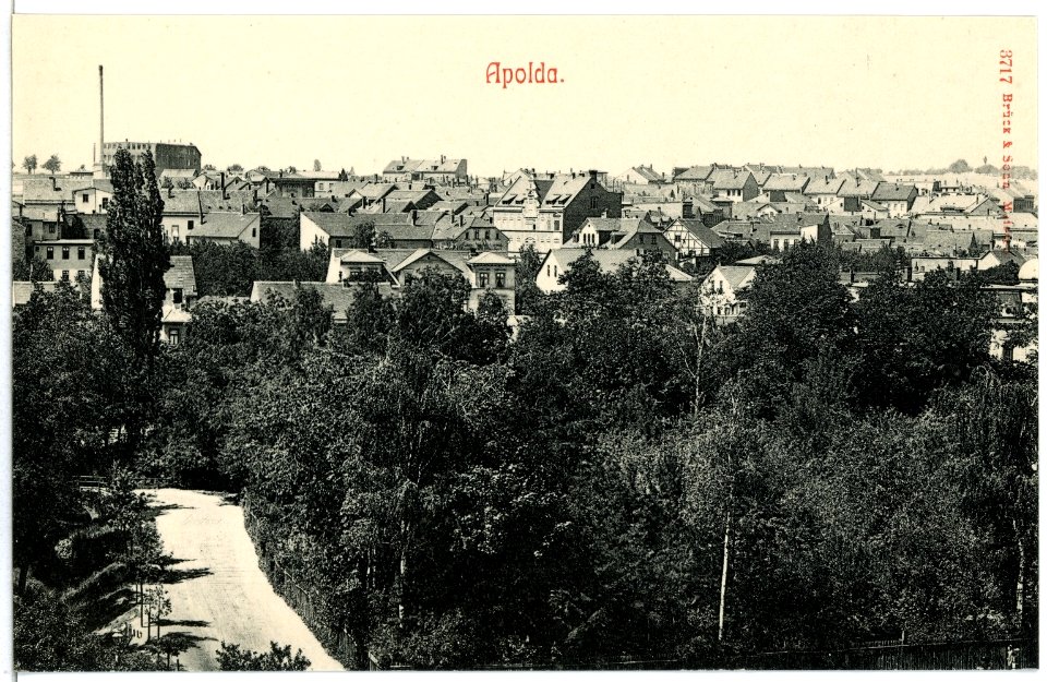 03717-Apolda-1903-Blick auf Apolda-Brück & Sohn Kunstverlag