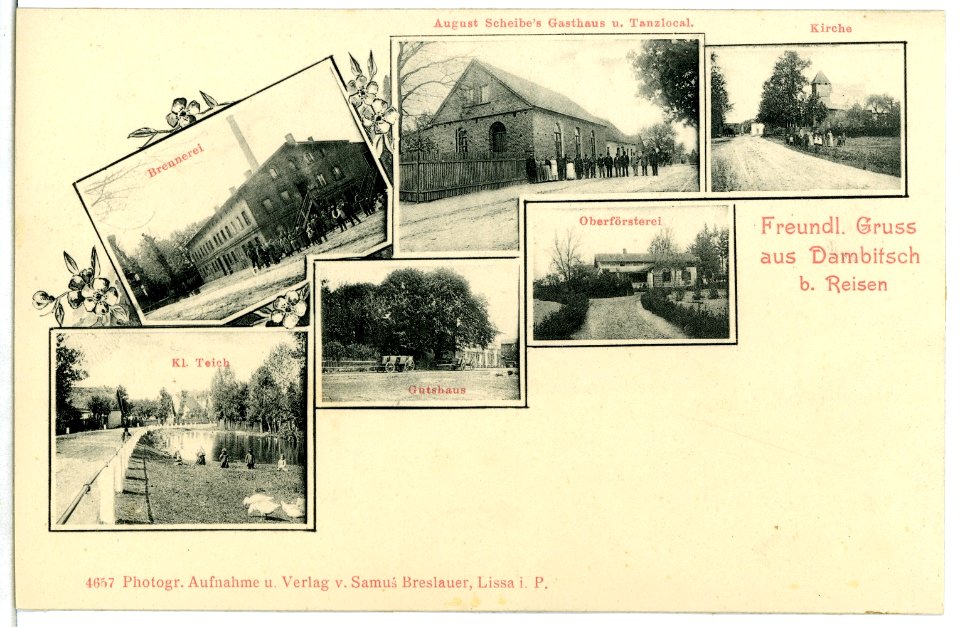 04657-Dambitsch-1903-Kirche, Gasthaus, Brennerei, Gutshaus-Brück & Sohn Kunstverlag