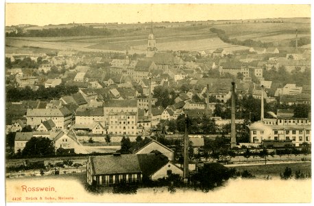 04426-Roßwein-1903-Blick auf Roßwein-Brück & Sohn Kunstverlag