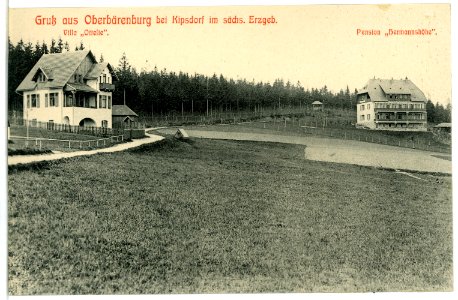 04659-Oberbärenburg-1903-Pension Hermannshöhe-Brück & Sohn Kunstverlag