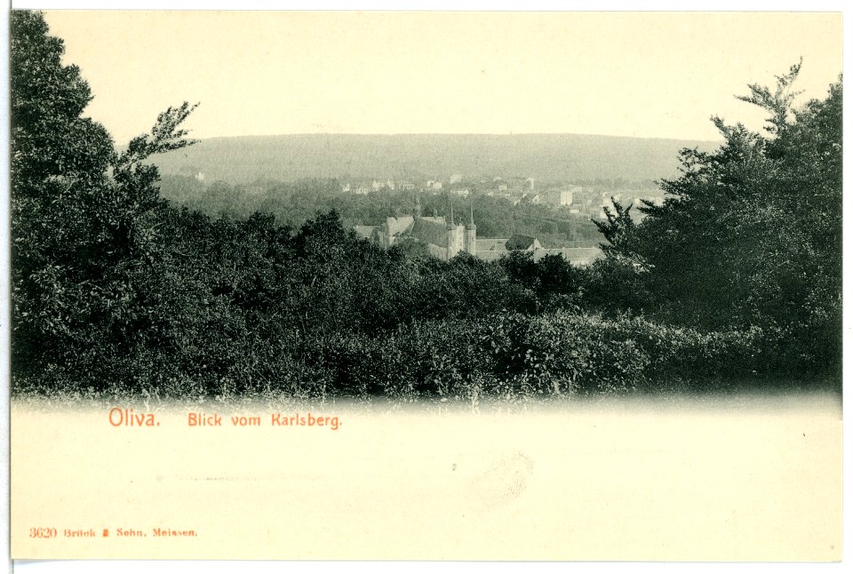 03620-Oliva-1903-Blick vom Karlsberg-Brück & Sohn Kunstverlag