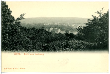 03620-Oliva-1903-Blick vom Karlsberg-Brück & Sohn Kunstverlag