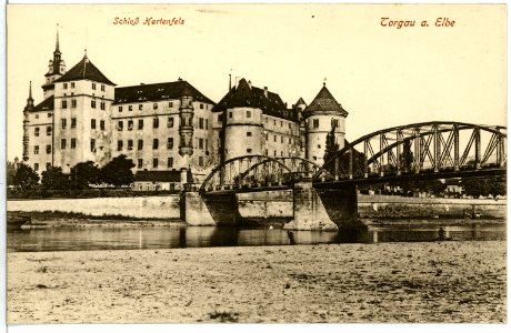 03865-Torgau-1903-Schloß Hartenfels und Elbebrücke-Brück & Sohn Kunstverlag