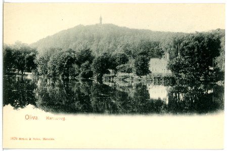 03624-Oliva-1903-Karlsberg-Brück & Sohn Kunstverlag