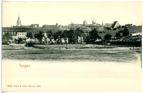 03869-Torgau-1903-Blick nach der Stadt-Brück & Sohn Kunstverlag
