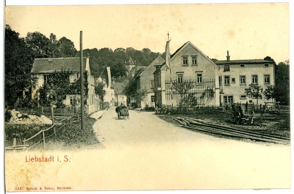 03447-Liebstadt-1903-Stadtansicht-Brück & Sohn Kunstverlag