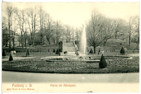 04627-Freiberg-1903-Im Albertpark-Brück & Sohn Kunstverlag