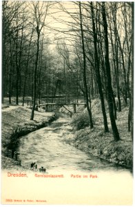 03368-Dresden-1903-Im Park des Garnisonslazarettes-Brück & Sohn Kunstverlag