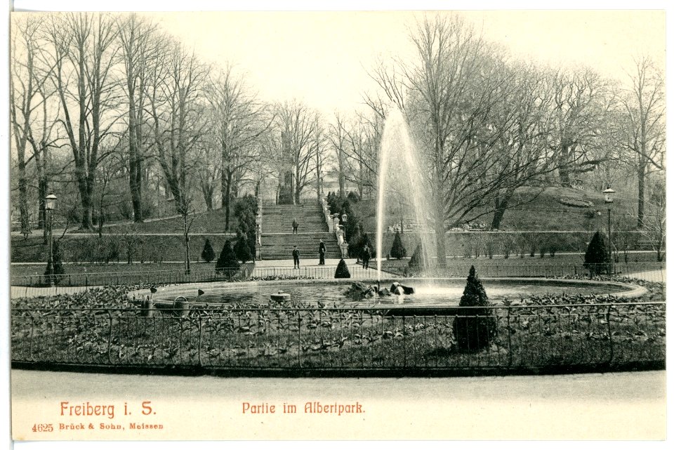 04625-Freiberg-1903-Im Albertpark-Brück & Sohn Kunstverlag