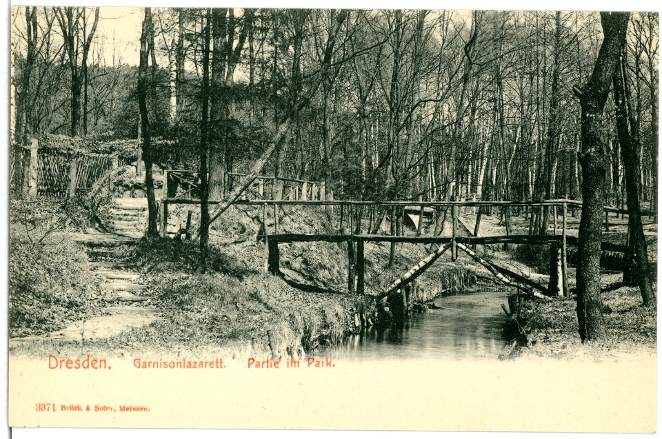 03371-Dresden-1903-Im Park des Garnisonslazarettes-Brück & Sohn Kunstverlag