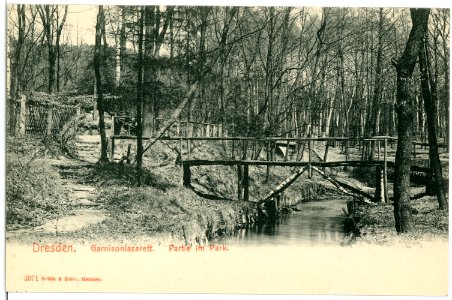 03371-Dresden-1903-Im Park des Garnisonslazarettes-Brück & Sohn Kunstverlag